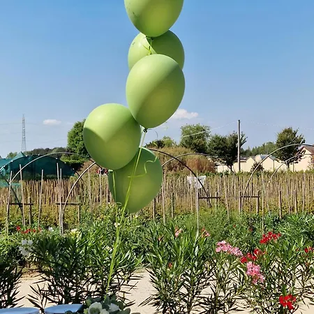 L'insolito Posto Отель Sabbioncello