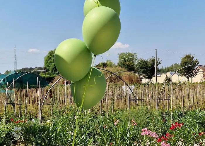 L'insolito Posto מלון Sabbioncello